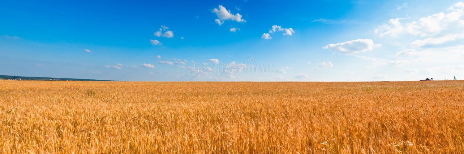 pablinhow's profile banner image