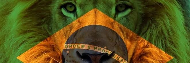karolttostes's profile banner image