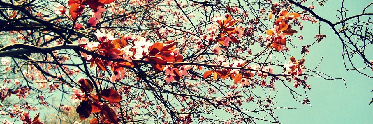 debmnunes's profile banner image