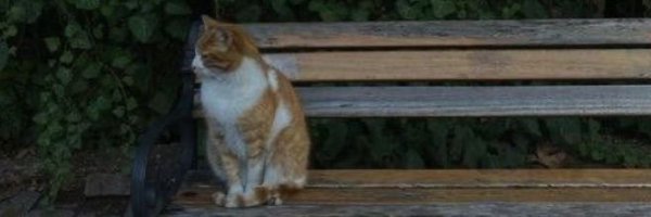 nour__96 Profile Banner