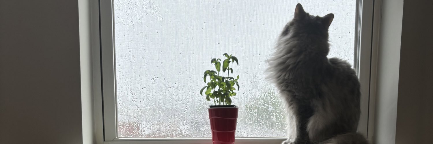 Aya＠US🇺🇸 banner