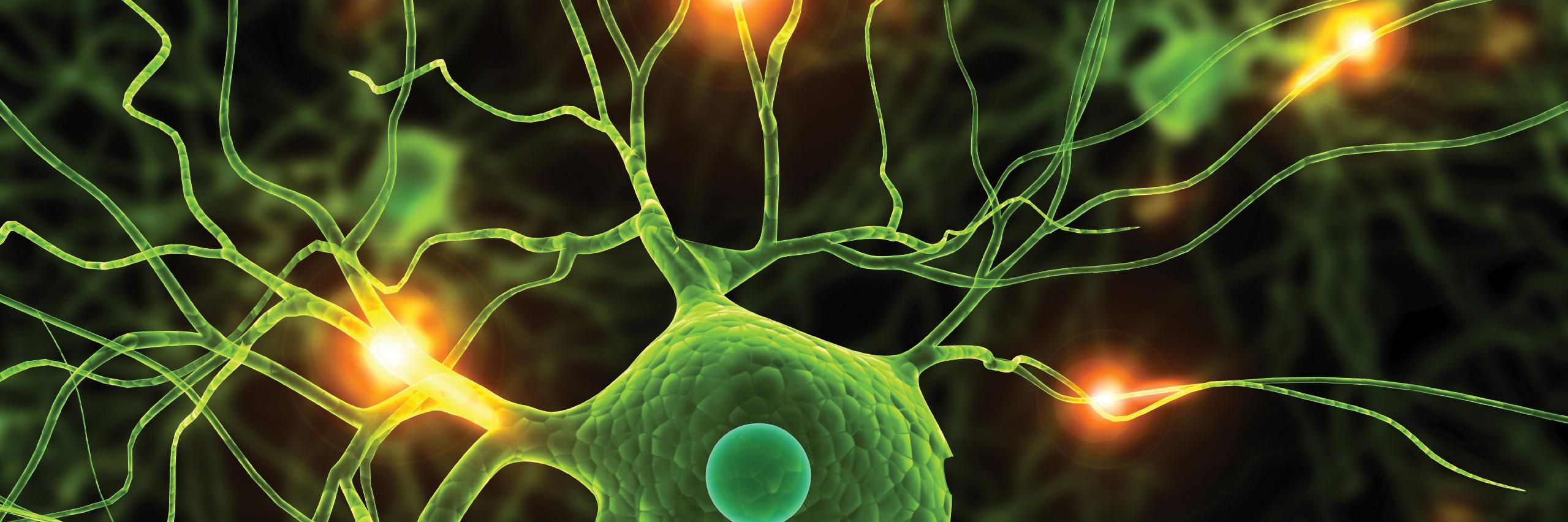 TheMINDCenter's profile banner image