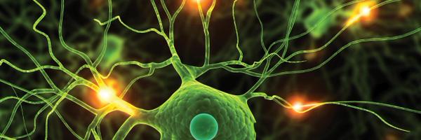 TheMINDCenter Profile Banner