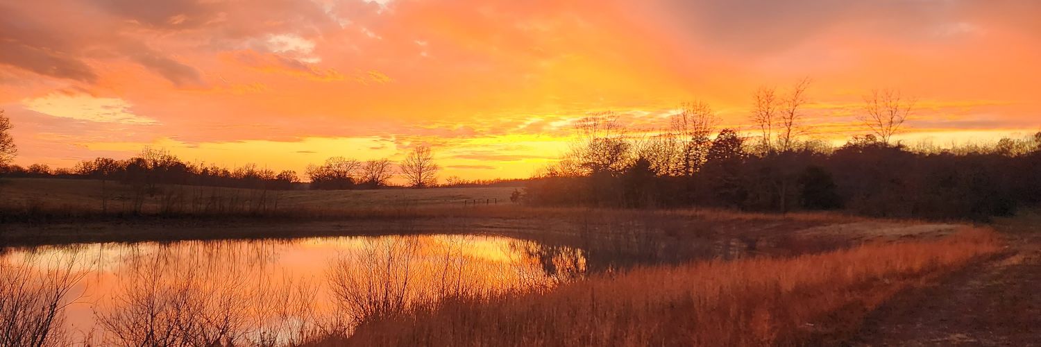 TheBackwoodsBroadcast banner