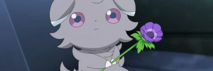 LillyGardenVT's profile banner image