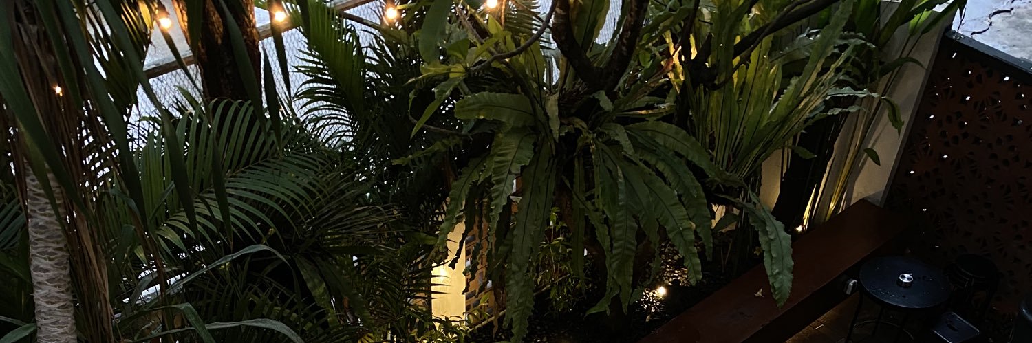babe 𝓜 banner