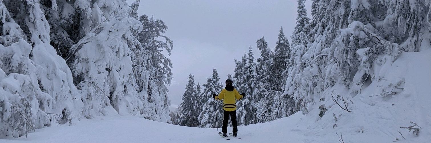 willcares's profile banner image