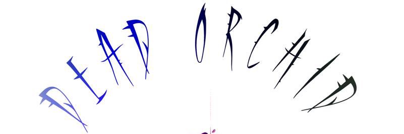Alexander Sinclair/ Captain Howdy's banner