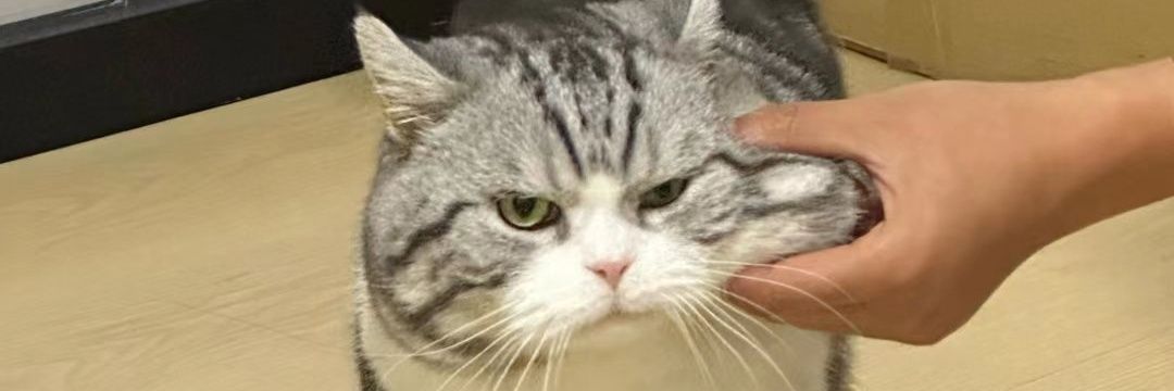 brownsunt's profile banner image