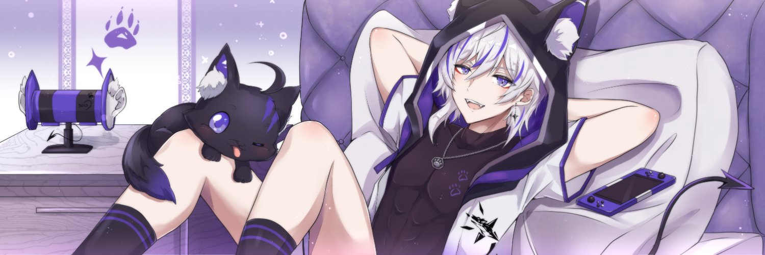 SilverBaeby's profile banner image
