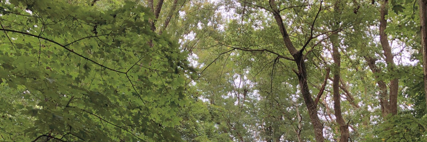 MonicaRoyal45's profile banner image