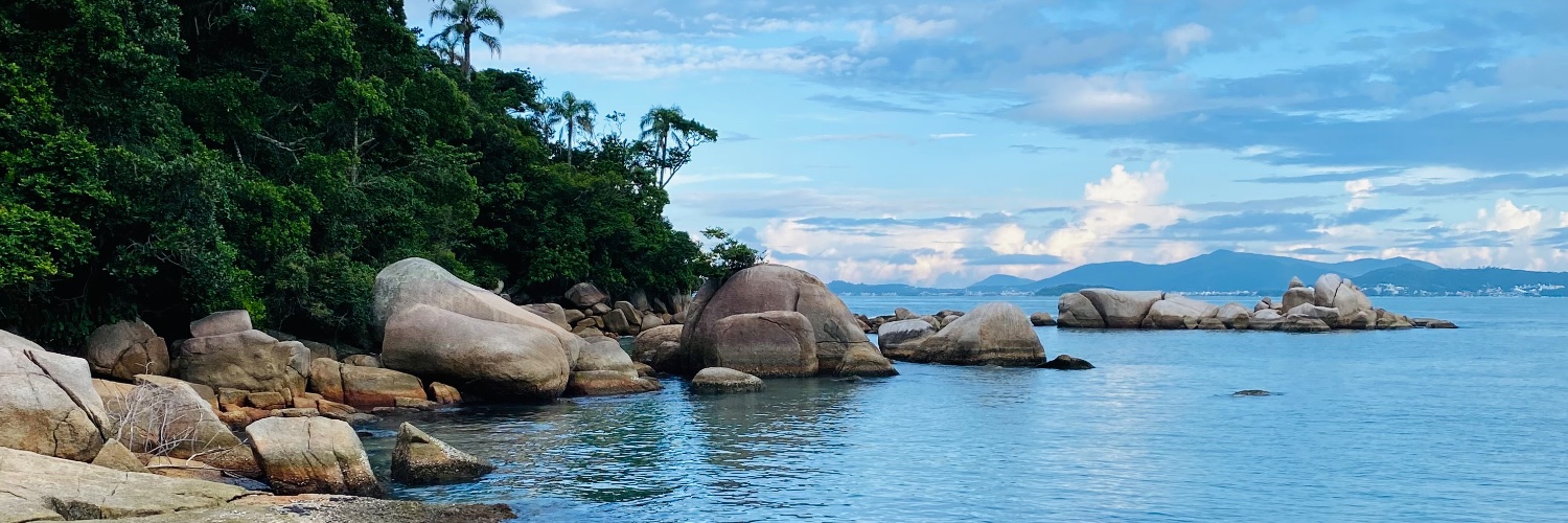 tolefernandez's profile banner image