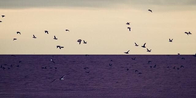 andrea_emory's profile banner image