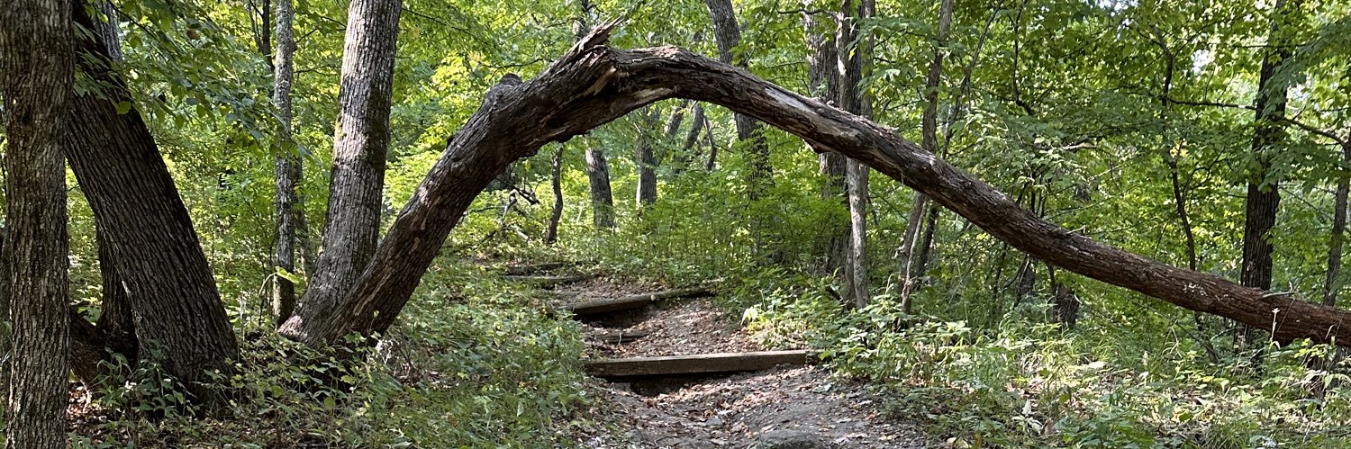 •WiftyWifey• banner