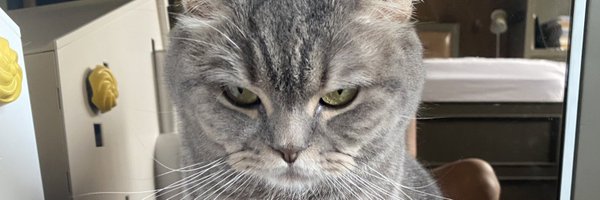 kaooo_j Profile Banner