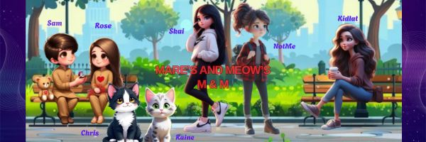 SkAi 🌜⭐️ banner
