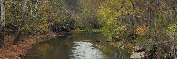 DCancilla62093 Profile Banner