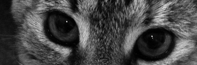 demons45's profile banner image