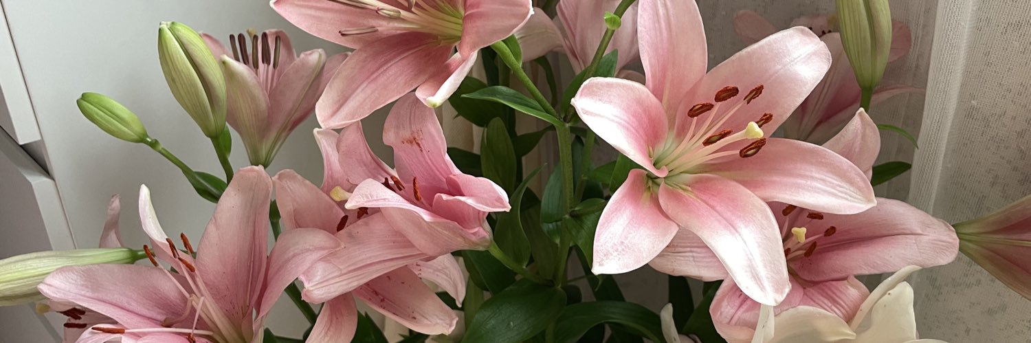 mirablooming's profile banner image