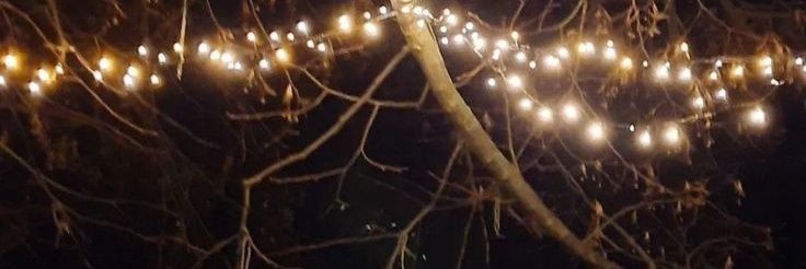 muskan_khan banner