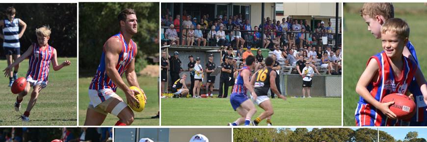 GorillasAFC's profile banner image