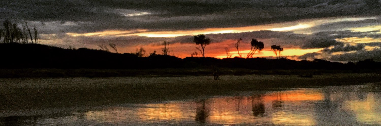 Silvia Montaña banner