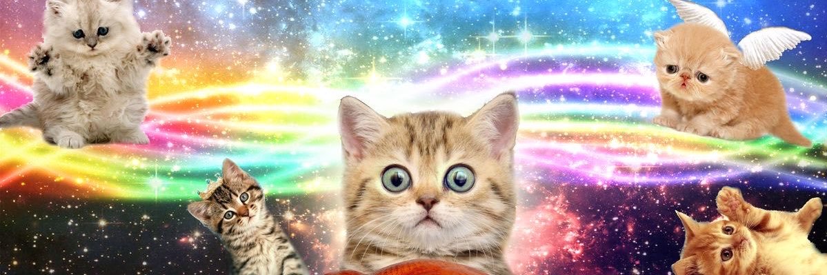 PrettyPussyfly's profile banner image