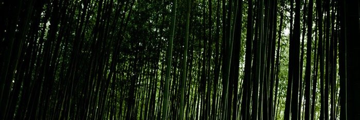 Hoimimac's profile banner image