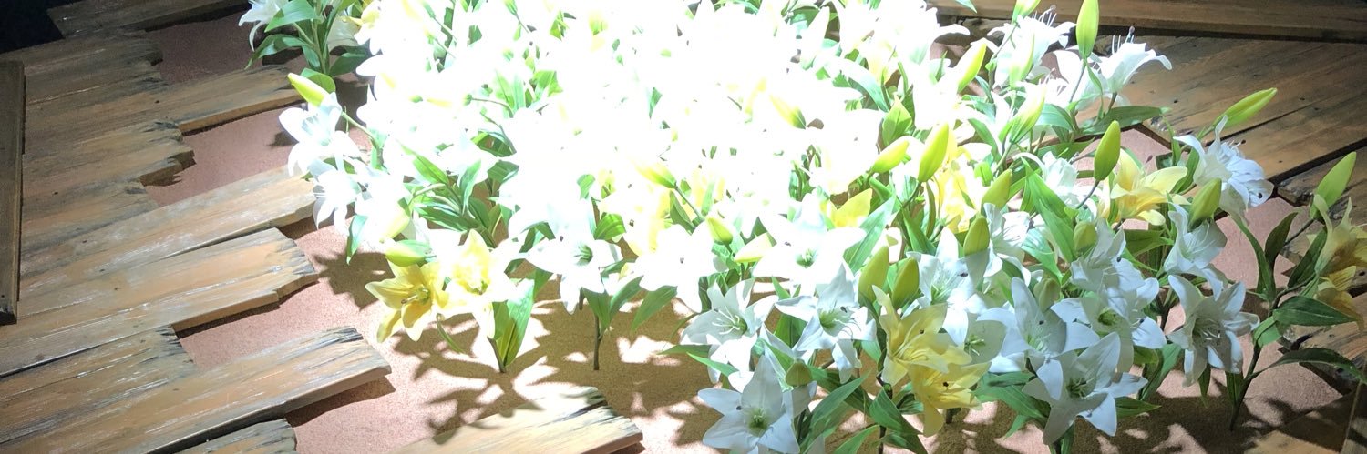 石's banner