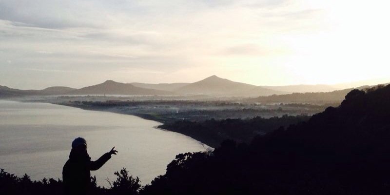 Dr. Teresa Lynn banner