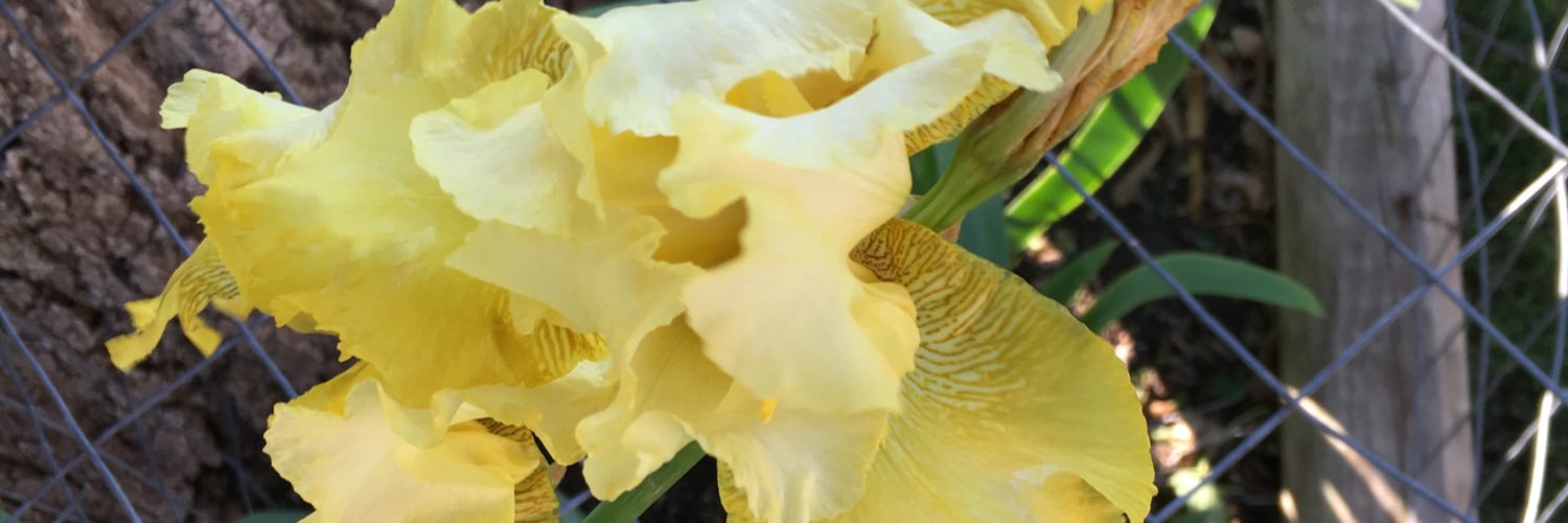 Escubed's profile banner image