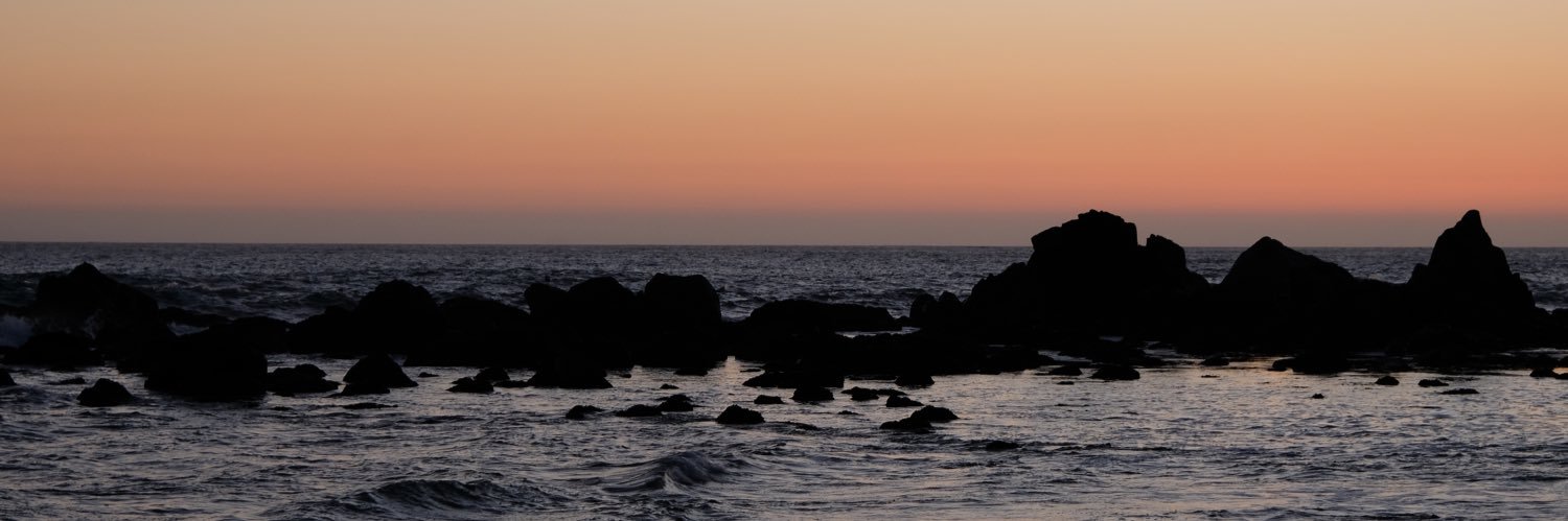 mollyebrewer's profile banner image