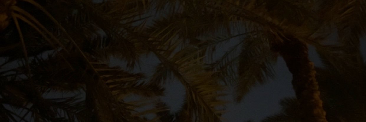 ertqil's profile banner image