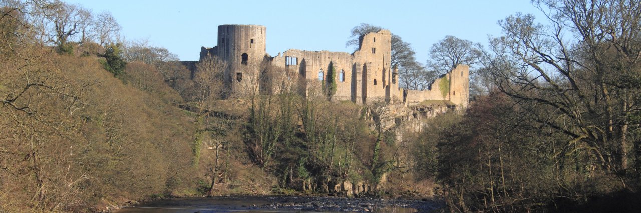 King TomAnon de Bailleul banner