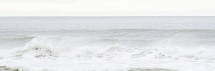 sai banner