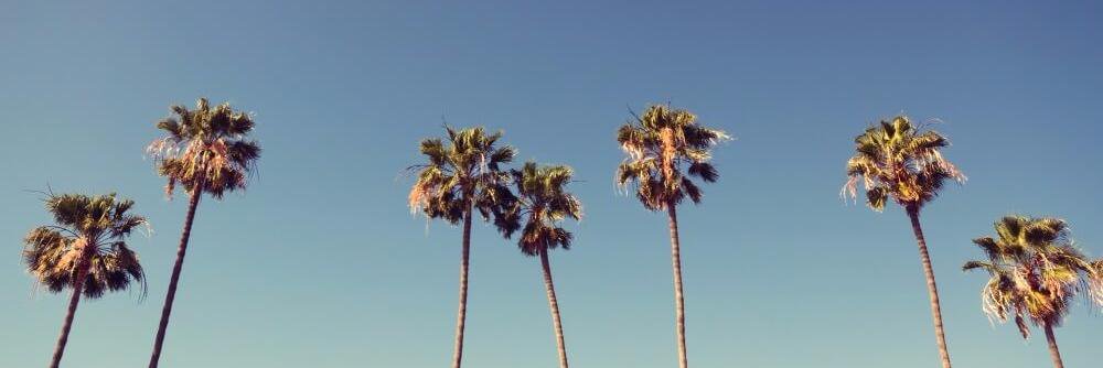 filipa_andy's profile banner image