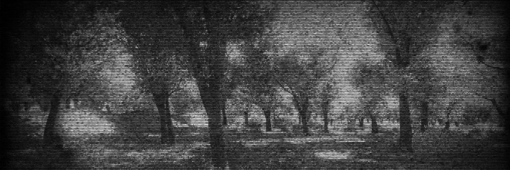 PotatoBallad's profile banner image