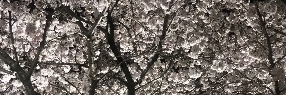 uldfcx's profile banner image