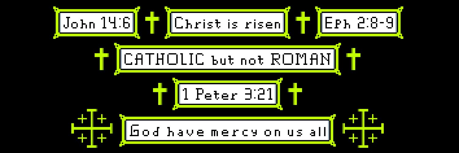 Perfectly Sane Lutheran🔨🏵️🇧🇻 banner