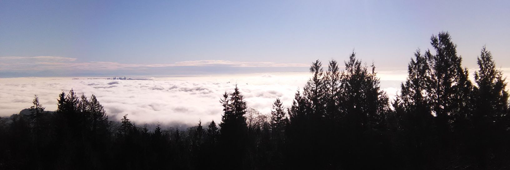 ENieweler's profile banner image