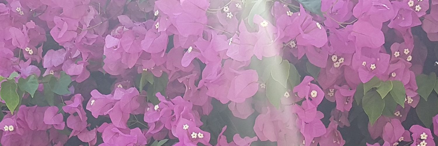ccavt33's profile banner image