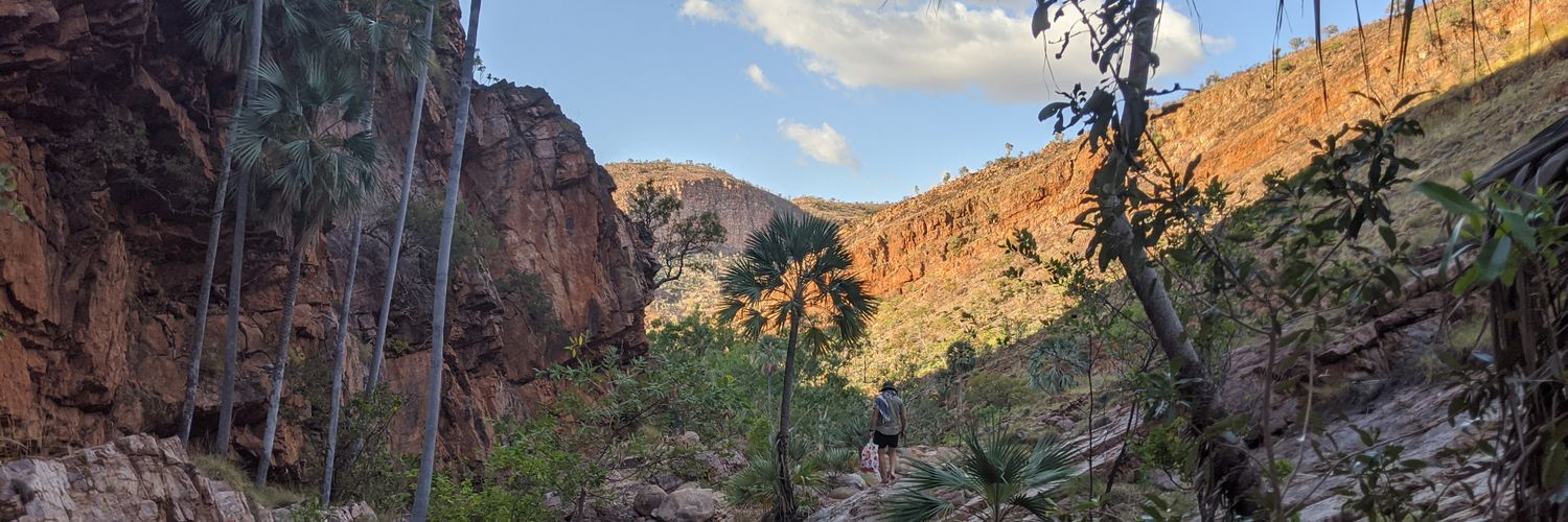 Steph Sinclair banner