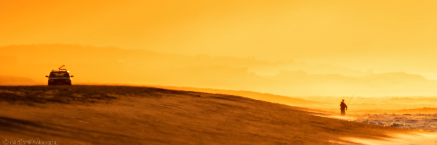mitzgami's profile banner image