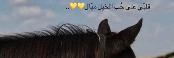 L0lo181 Profile Banner