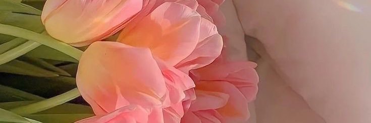 danishal_'s profile banner image