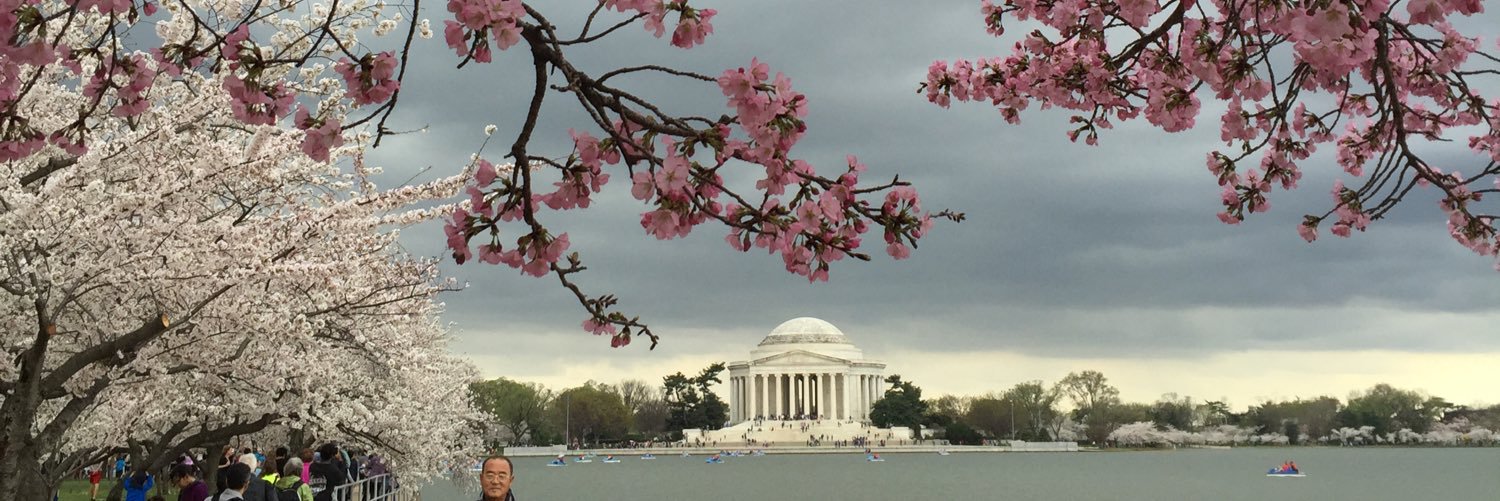 Molly Mitzner banner