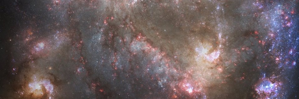 LochNeffMunster's profile banner image