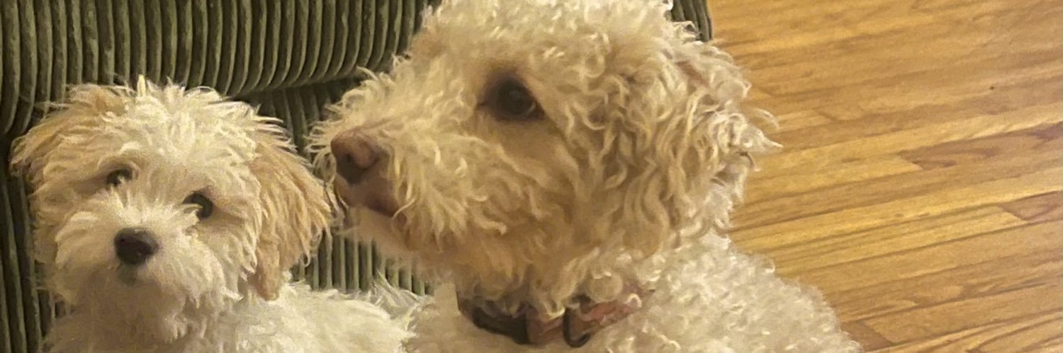 Ash🌬️✨ banner