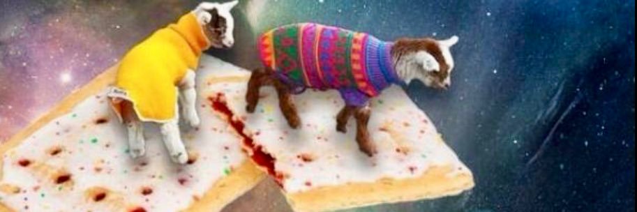 Cute Animals Cleanse banner