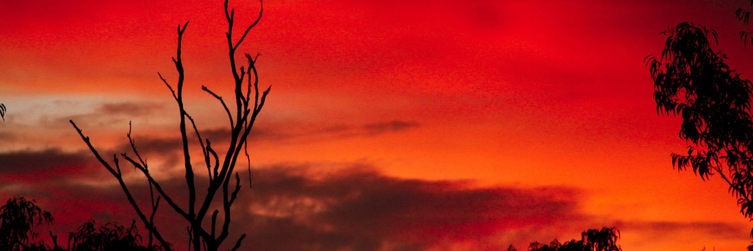 madvoice's profile banner image